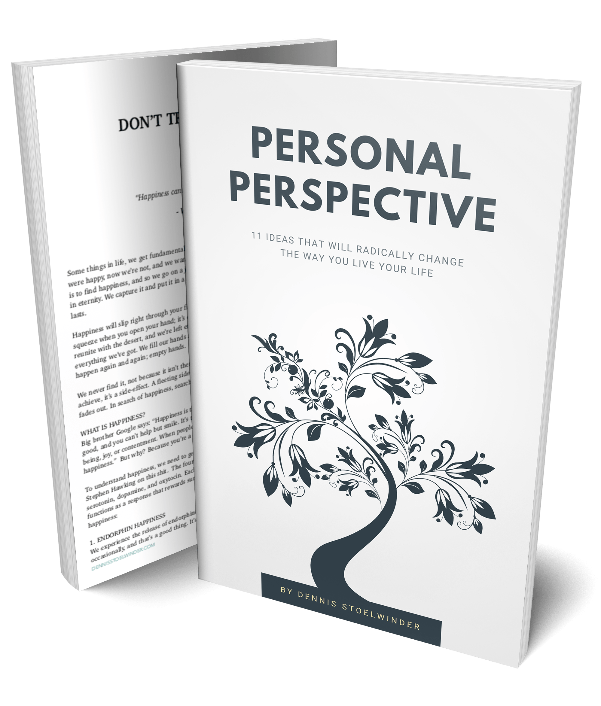 book mockup2